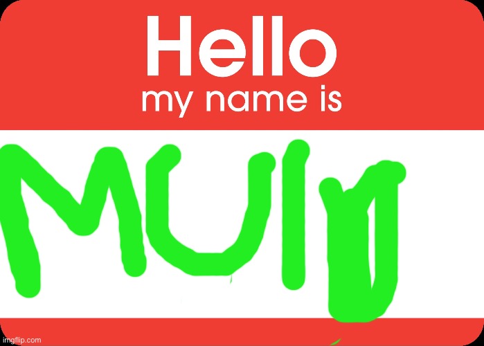 Hello My Name Is | image tagged in hello my name is | made w/ Imgflip meme maker