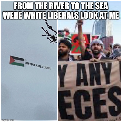 White peoples | FROM THE RIVER TO THE SEA
WERE WHITE LIBERALS LOOK AT ME | image tagged in truthfully | made w/ Imgflip meme maker