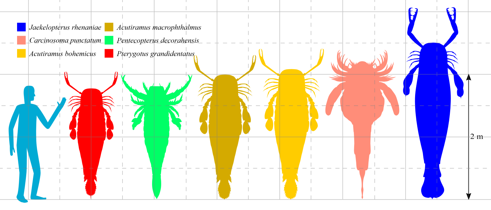 Man sea scorpions Mega Eurypterids Blank Meme Template