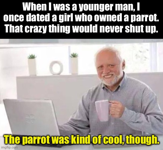 Parrot | When I was a younger man, I once dated a girl who owned a parrot. That crazy thing would never shut up. The parrot was kind of cool, though. | image tagged in harold | made w/ Imgflip meme maker