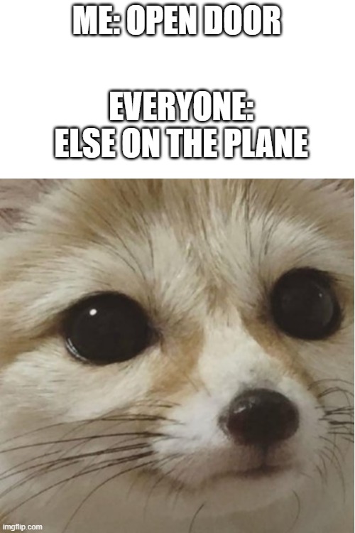 what | ME: OPEN DOOR; EVERYONE: ELSE ON THE PLANE | image tagged in what | made w/ Imgflip meme maker