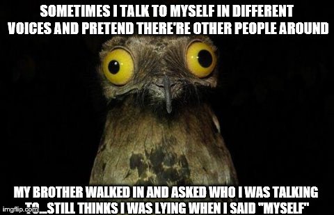 No BROTHER, I was talking to Asland and the White Witch. The divorce is kicking ass. | SOMETIMES I TALK TO MYSELF IN DIFFERENT VOICES AND PRETEND THERE'RE OTHER PEOPLE AROUND MY BROTHER WALKED IN AND ASKED WHO I WAS TALKING TO. | image tagged in memes,weird stuff i do potoo | made w/ Imgflip meme maker