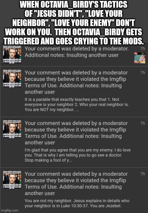 WHEN OCTAVIA_BIRDY'S TACTICS OF "JESUS DIDN'T", "LOVE YOUR NEIGHBOR", "LOVE YOUR ENEMY" DON'T WORK ON YOU.  THEN OCTAVIA_BIRDY GETS TRIGGERED AND GOES CRYING TO THE MODS. | made w/ Imgflip meme maker