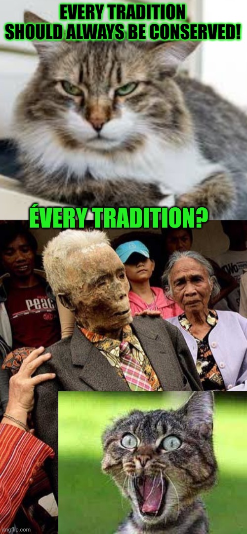 This #lolcat wonders why you only want some traditions to be conserved | EVERY TRADITION SHOULD ALWAYS BE CONSERVED! ÉVERY TRADITION? | image tagged in traditions,dead,hypocrisy,think about it | made w/ Imgflip meme maker