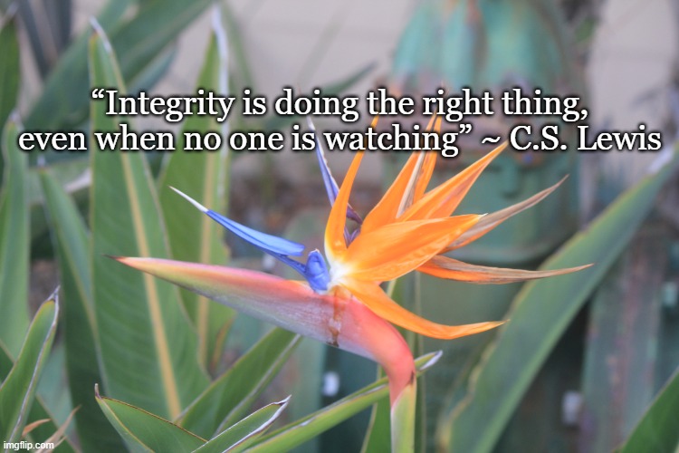 Integrity | “Integrity is doing the right thing, even when no one is watching” ~ C.S. Lewis | image tagged in memes | made w/ Imgflip meme maker