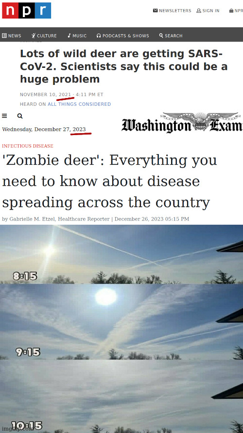 Why are Wild Deer Suddenly Sick with Strange Diseases? | image tagged in deer | made w/ Imgflip meme maker