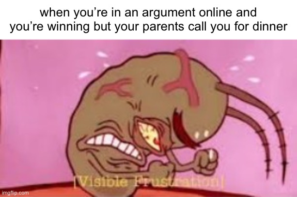 angr | when you’re in an argument online and you’re winning but your parents call you for dinner | image tagged in visible frustration | made w/ Imgflip meme maker