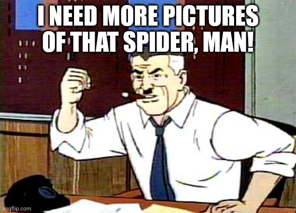 I WANT PICTURES OF SPIDERMAN | I NEED MORE PICTURES OF THAT SPIDER, MAN! | image tagged in i want pictures of spiderman | made w/ Imgflip meme maker