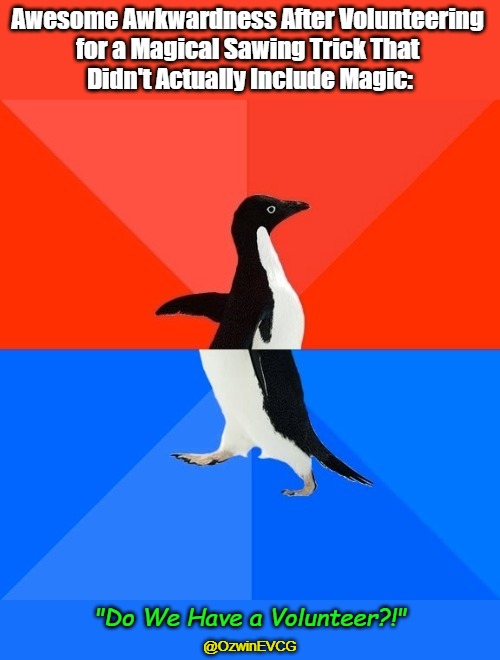 "Do We Have a Volunteer?!" | Awesome Awkwardness After Volunteering 
for a Magical Sawing Trick That 
Didn't Actually Include Magic:; "Do We Have a Volunteer?!"; @OzwinEVCG | image tagged in magic tricks,awesome socially awkward penguin,magic show,that awkward moment,yolo,dark humor | made w/ Imgflip meme maker