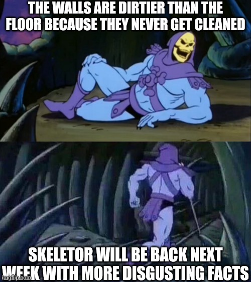 The walls are dirtier than the floor | THE WALLS ARE DIRTIER THAN THE FLOOR BECAUSE THEY NEVER GET CLEANED; SKELETOR WILL BE BACK NEXT WEEK WITH MORE DISGUSTING FACTS | image tagged in skeletor disturbing facts,walls,disgusting,memes | made w/ Imgflip meme maker