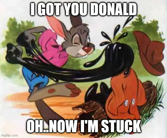 Tar baby | I GOT YOU DONALD; OH..NOW I'M STUCK | image tagged in tar baby | made w/ Imgflip meme maker