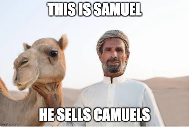 THIS IS SAMUEL; HE SELLS CAMUELS | image tagged in funny,funny memes,camels | made w/ Imgflip meme maker