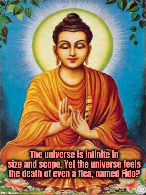 buddha | The universe is infinite in size and scope. Yet the universe feels the death of even a flea, named Fido? | image tagged in buddha | made w/ Imgflip meme maker