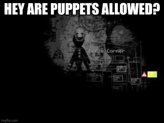 I'm just asking | HEY ARE PUPPETS ALLOWED? | image tagged in the puppet from fnaf 2 | made w/ Imgflip meme maker