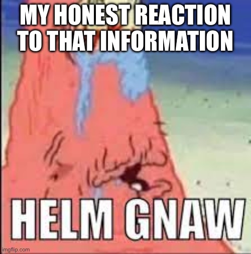 HELM GNAW | MY HONEST REACTION TO THAT INFORMATION | image tagged in helm gnaw | made w/ Imgflip meme maker