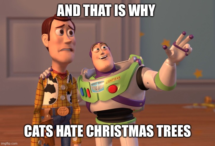X, X Everywhere Meme | AND THAT IS WHY CATS HATE CHRISTMAS TREES | image tagged in memes,x x everywhere | made w/ Imgflip meme maker
