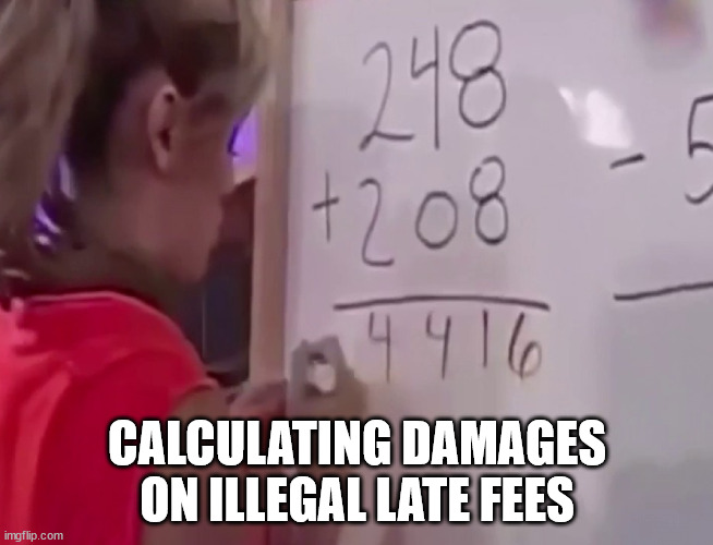 Math girl | CALCULATING DAMAGES ON ILLEGAL LATE FEES | image tagged in math girl | made w/ Imgflip meme maker