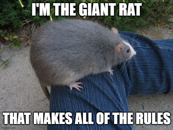 The Giant Rat That Makes All Of The Rules | I'M THE GIANT RAT; THAT MAKES ALL OF THE RULES | image tagged in the,giant,rat | made w/ Imgflip meme maker