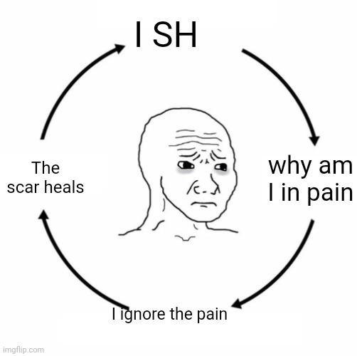 My legs hurt as I am posting this | I SH; why am I in pain; The scar heals; I ignore the pain | made w/ Imgflip meme maker