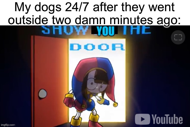 *sigh* | My dogs 24/7 after they went outside two damn minutes ago: | image tagged in show you the door | made w/ Imgflip meme maker