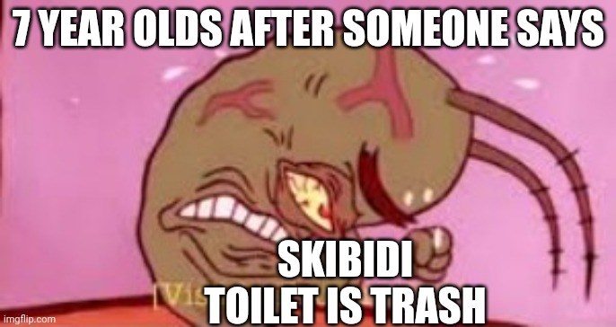HAHA | 7 YEAR OLDS AFTER SOMEONE SAYS; SKIBIDI TOILET IS TRASH | image tagged in visible frustration | made w/ Imgflip meme maker