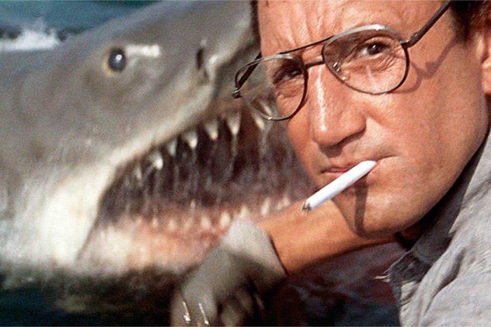 Le requin est trop petit Blank Meme Template