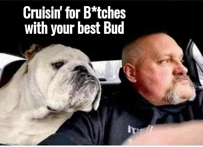 Dog Owners be like | Cruisin' for B*tches
with your best Bud | image tagged in dogs,totally looks like,bffs,understandable have a great day | made w/ Imgflip meme maker