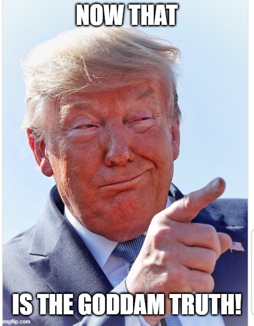 Trump pointing | NOW THAT IS THE GODDAM TRUTH! | image tagged in trump pointing | made w/ Imgflip meme maker