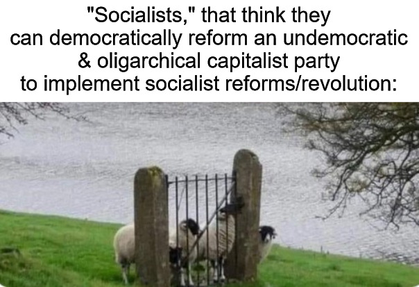Learned Helplessness | "Socialists," that think they can democratically reform an undemocratic & oligarchical capitalist party to implement socialist reforms/revolution: | image tagged in sheep fence,socialist,socialists,oligarchy,late stage capitalism,democrats | made w/ Imgflip meme maker