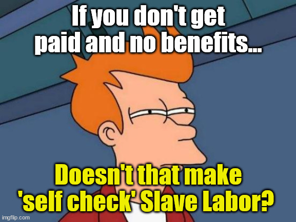 self check | If you don't get paid and no benefits... Doesn't that make 'self check' Slave Labor? | image tagged in memes,futurama fry | made w/ Imgflip meme maker