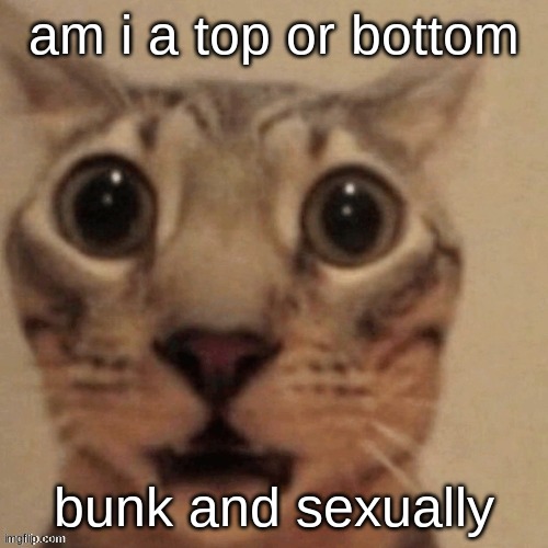 in shock | am i a top or bottom; bunk and sexually | image tagged in in shock | made w/ Imgflip meme maker