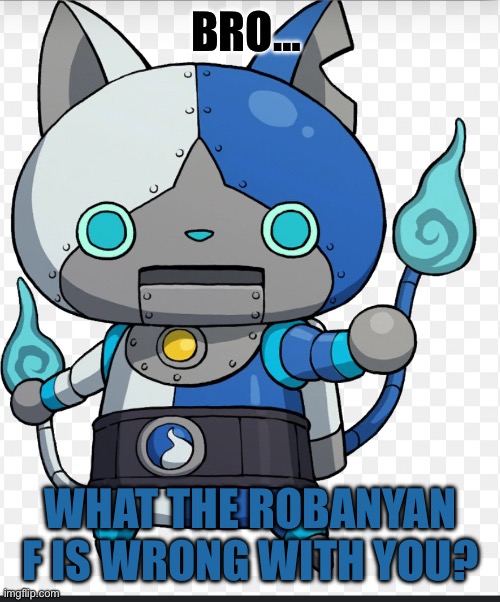 What the Robonyan F | BRO…; WHAT THE ROBANYAN F IS WRONG WITH YOU? | image tagged in what the robonyan f | made w/ Imgflip meme maker
