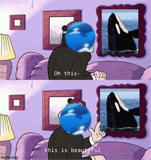 What Can I say I love Orcas | image tagged in oh this this beautiful blank template,orca | made w/ Imgflip meme maker
