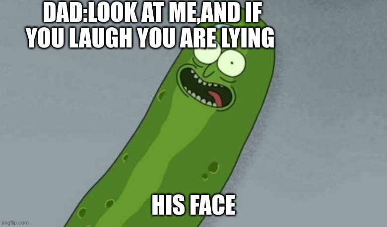 Pickle rick | DAD:LOOK AT ME,AND IF YOU LAUGH YOU ARE LYING; HIS FACE | image tagged in pickle rick | made w/ Imgflip meme maker
