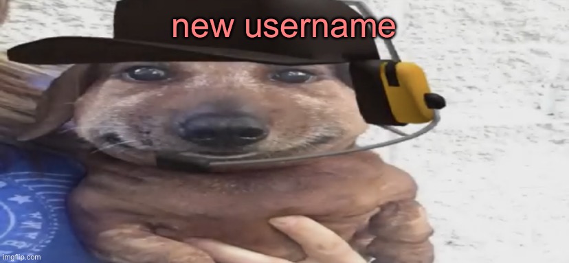 yay | new username | image tagged in chucklenuts | made w/ Imgflip meme maker