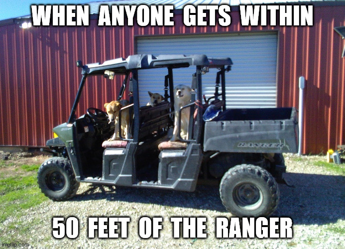 Dogs and the Ranger | WHEN  ANYONE  GETS  WITHIN; 50  FEET  OF  THE  RANGER | image tagged in dogs,farm life | made w/ Imgflip meme maker