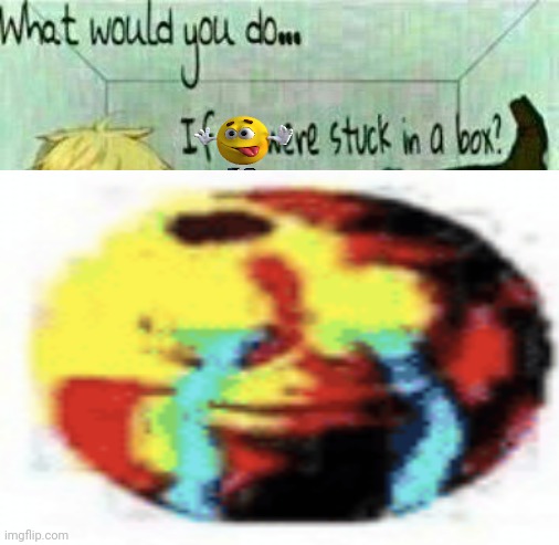i | image tagged in what would you do if we were stuck in a box | made w/ Imgflip meme maker