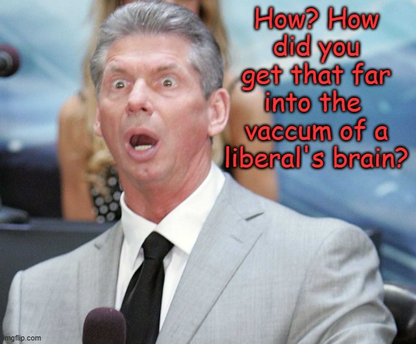 Stunned | How? How did you get that far into the  vaccum of a liberal's brain? | image tagged in stunned | made w/ Imgflip meme maker