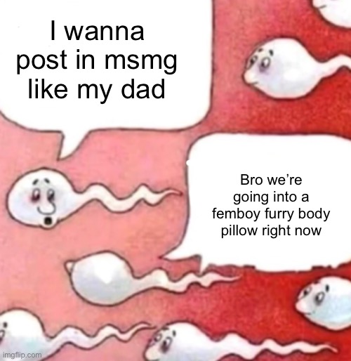 Sperm conversation | I wanna post in msmg like my dad; Bro we’re going into a femboy furry body pillow right now | image tagged in sperm conversation | made w/ Imgflip meme maker
