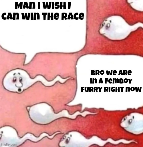 Sperm conversation | Man I wish I can win the race; Bro we are in a femboy furry right now | image tagged in sperm conversation | made w/ Imgflip meme maker