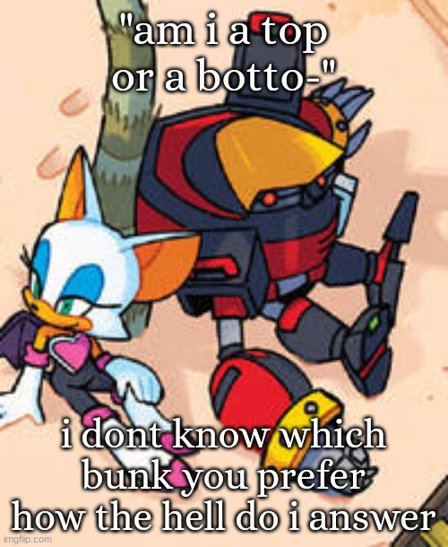 rouge and omega | "am i a top or a botto-"; i dont know which bunk you prefer how the hell do i answer | image tagged in rouge and omega | made w/ Imgflip meme maker