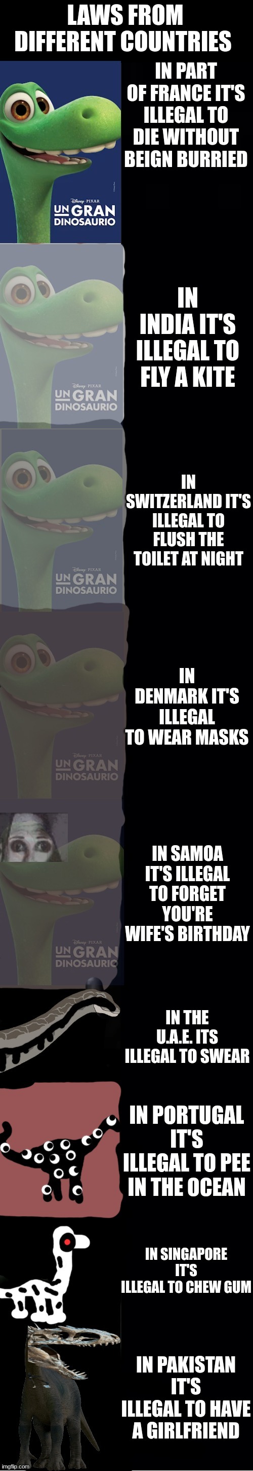 Arlo becoming uncanny: Laws from different countries | LAWS FROM DIFFERENT COUNTRIES; IN PART OF FRANCE IT'S ILLEGAL TO DIE WITHOUT BEIGN BURRIED; IN INDIA IT'S ILLEGAL TO FLY A KITE; IN SWITZERLAND IT'S ILLEGAL TO FLUSH THE TOILET AT NIGHT; IN DENMARK IT'S ILLEGAL TO WEAR MASKS; IN SAMOA IT'S ILLEGAL TO FORGET YOU'RE WIFE'S BIRTHDAY; IN THE U.A.E. ITS ILLEGAL TO SWEAR; IN PORTUGAL IT'S ILLEGAL TO PEE IN THE OCEAN; IN SINGAPORE IT'S ILLEGAL TO CHEW GUM; IN PAKISTAN IT'S ILLEGAL TO HAVE A GIRLFRIEND | image tagged in arlo becoming uncanny v 0 0 | made w/ Imgflip meme maker