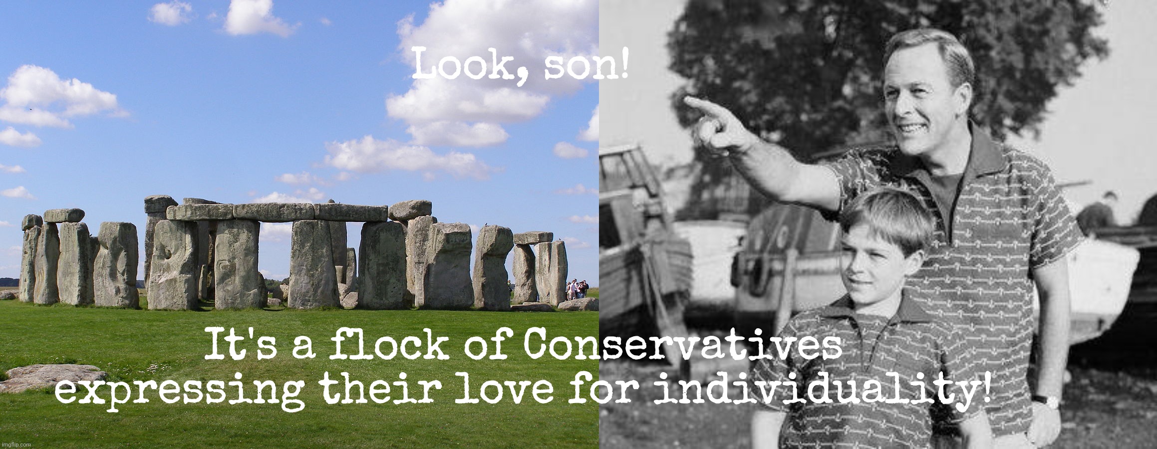 When individuality is used to mean one single individual mode for all,,, | Look, son! It's a flock of Conservatives expressing their love for individuality! | image tagged in stonehenge,memes,look son,conservatism,monolithic,conformity | made w/ Imgflip meme maker