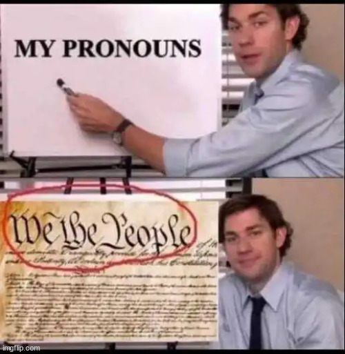 We The People are my pronouns | image tagged in we the people,my pronouns | made w/ Imgflip meme maker