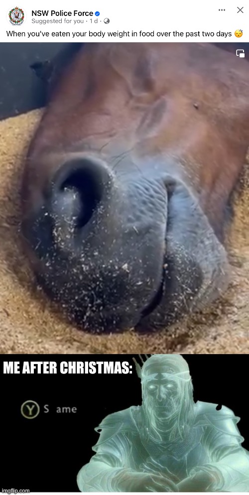Christmas foods | ME AFTER CHRISTMAS: | image tagged in same,christmas,foods,full | made w/ Imgflip meme maker
