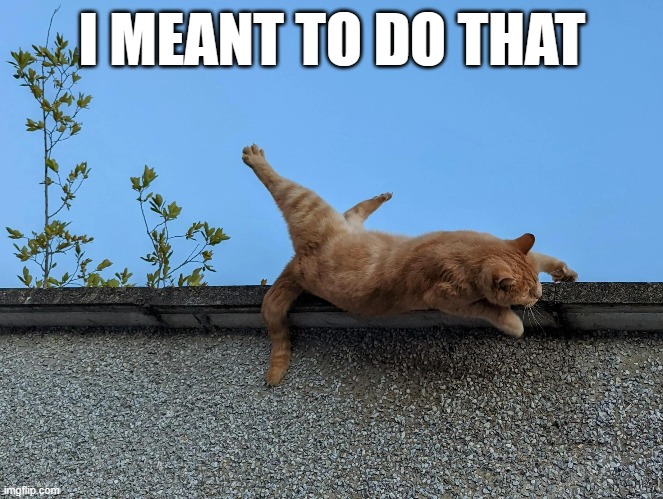 meme by Brad cat falling off roof | I MEANT TO DO THAT | image tagged in cats,cat meme,funny cat memes | made w/ Imgflip meme maker