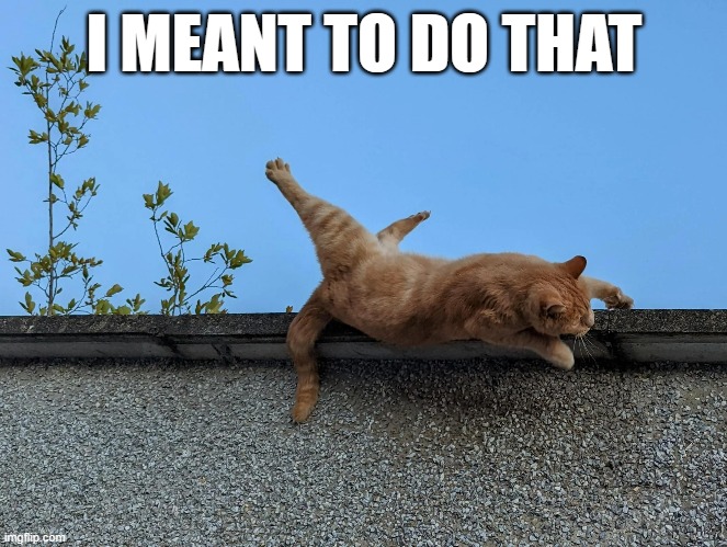 Meme By Brad Cat Falling Off Roof Imgflip