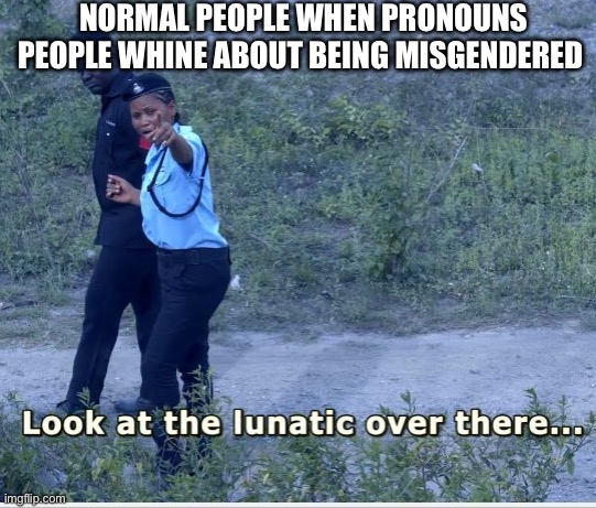 Pronouns | NORMAL PEOPLE WHEN PRONOUNS PEOPLE WHINE ABOUT BEING MISGENDERED | image tagged in look at that lunatic,pronouns,funny meme | made w/ Imgflip meme maker