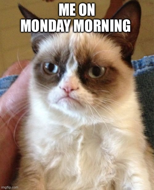 Me on Monday morning | ME ON MONDAY MORNING | image tagged in memes,grumpy cat | made w/ Imgflip meme maker