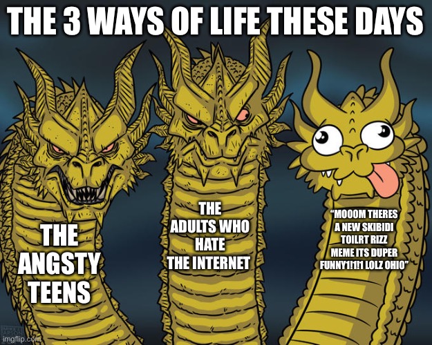 Thought I should do a little cringe meme for y’all | THE 3 WAYS OF LIFE THESE DAYS; THE ADULTS WHO HATE THE INTERNET; “MOOOM THERES A NEW SKIBIDI TOILRT RIZZ MEME ITS DUPER FUNNY1!1!1 LOLZ OHIO”; THE ANGSTY TEENS | image tagged in three-headed dragon | made w/ Imgflip meme maker